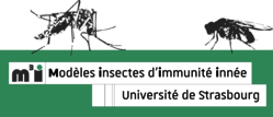 logo:Université de Strasbourg